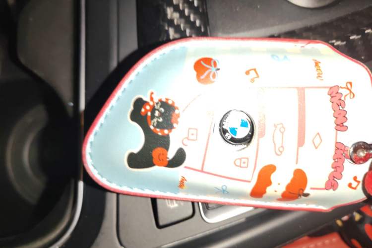 Used BMW M3 2016 M3 Sedan Competition Limited Edition Vehicle Key