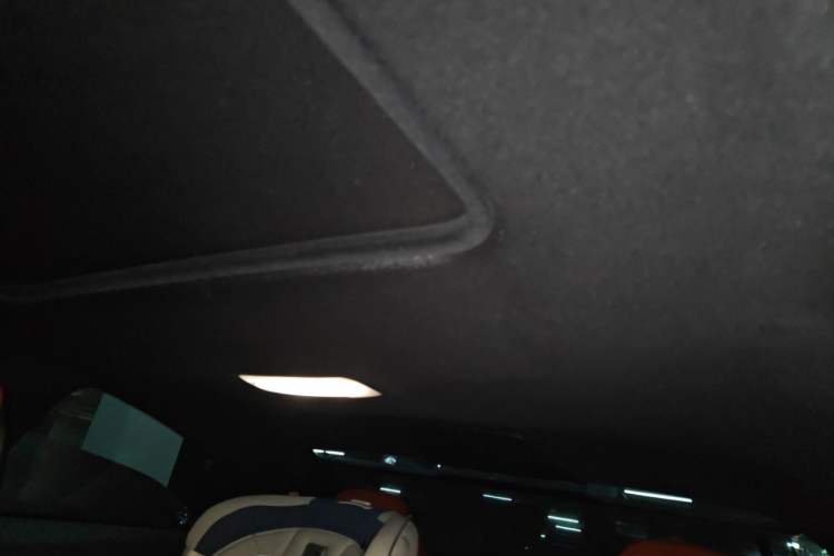 Used BMW M4 2019 M4 Coupe Shadow Edition Headliner