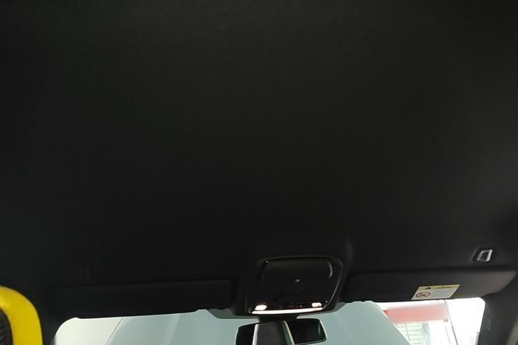 Used BMW M4 2021 M4 Coupe Thunder Edition Headliner