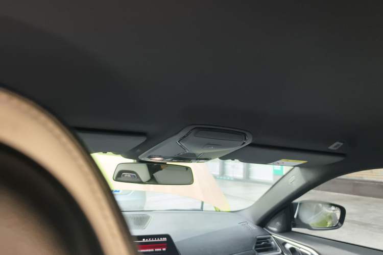 Used BMW M4 2021 M4 Coupe Thunder Edition Headliner
