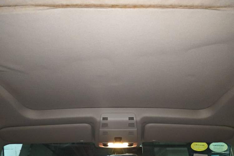 Used BMW X1 2010 sDrive18i Luxury Model Headliner