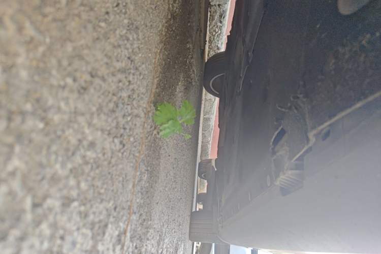 Used BMW X1 2010 xDrive25i Chassis Front Left