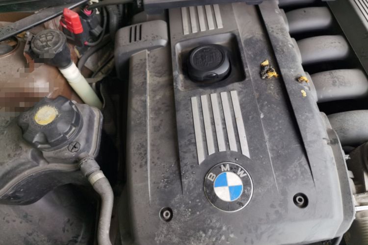 Used BMW X1 2010 xDrive25i Engine Bay Right