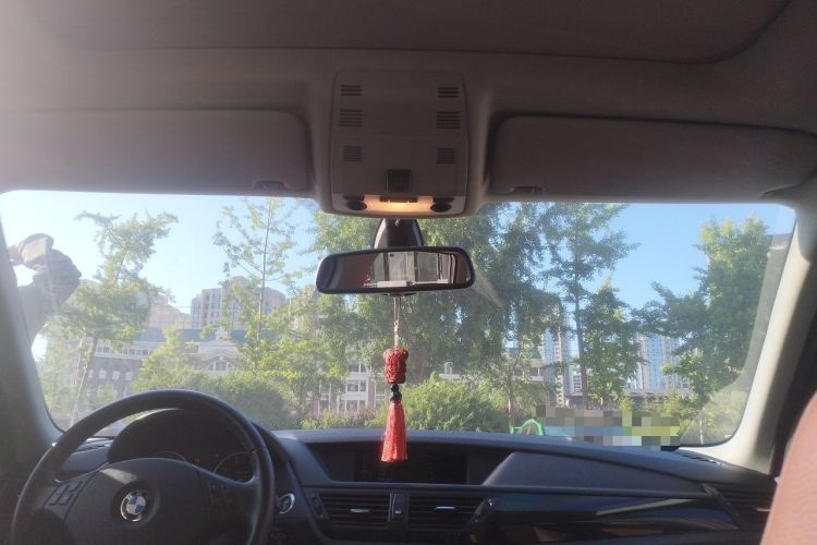 Used BMW X1 2010 sDrive18i Luxury Model Headliner