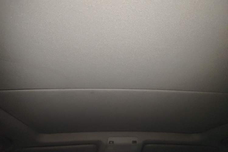Used BMW X1 2010 sDrive18i Luxury Model Headliner