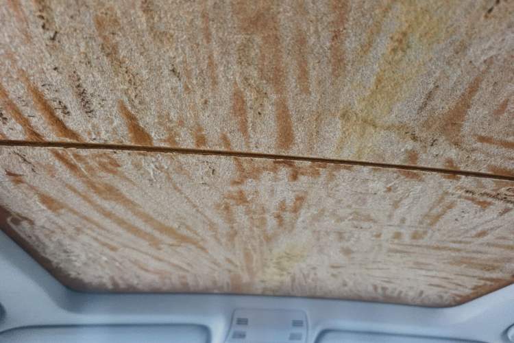 Used BMW X1 2010 sDrive18i Luxury Model Headliner