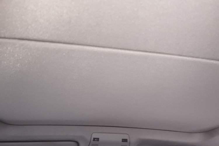Used BMW X1 2010 sDrive18i Luxury Model Headliner