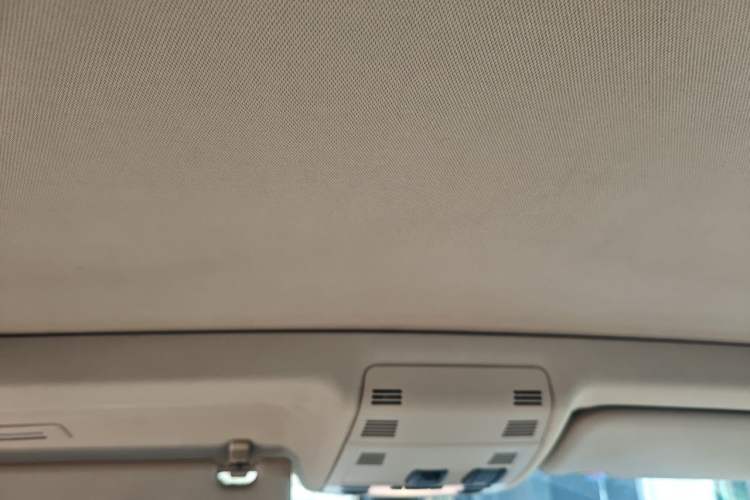 Used BMW X1 2010 sDrive18i Luxury Model Headliner