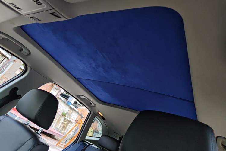Used BMW X1 2010 sDrive18i Luxury Model Headliner