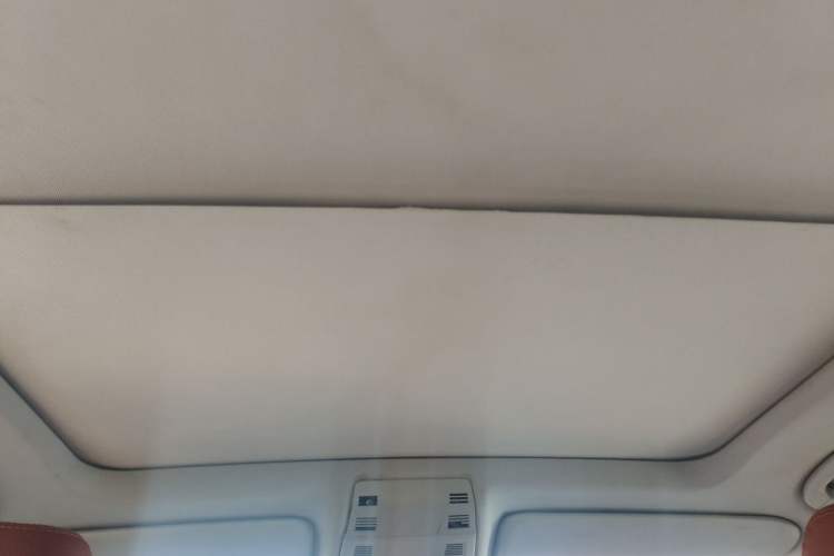 Used BMW X1 2010 sDrive18i Luxury Model Headliner