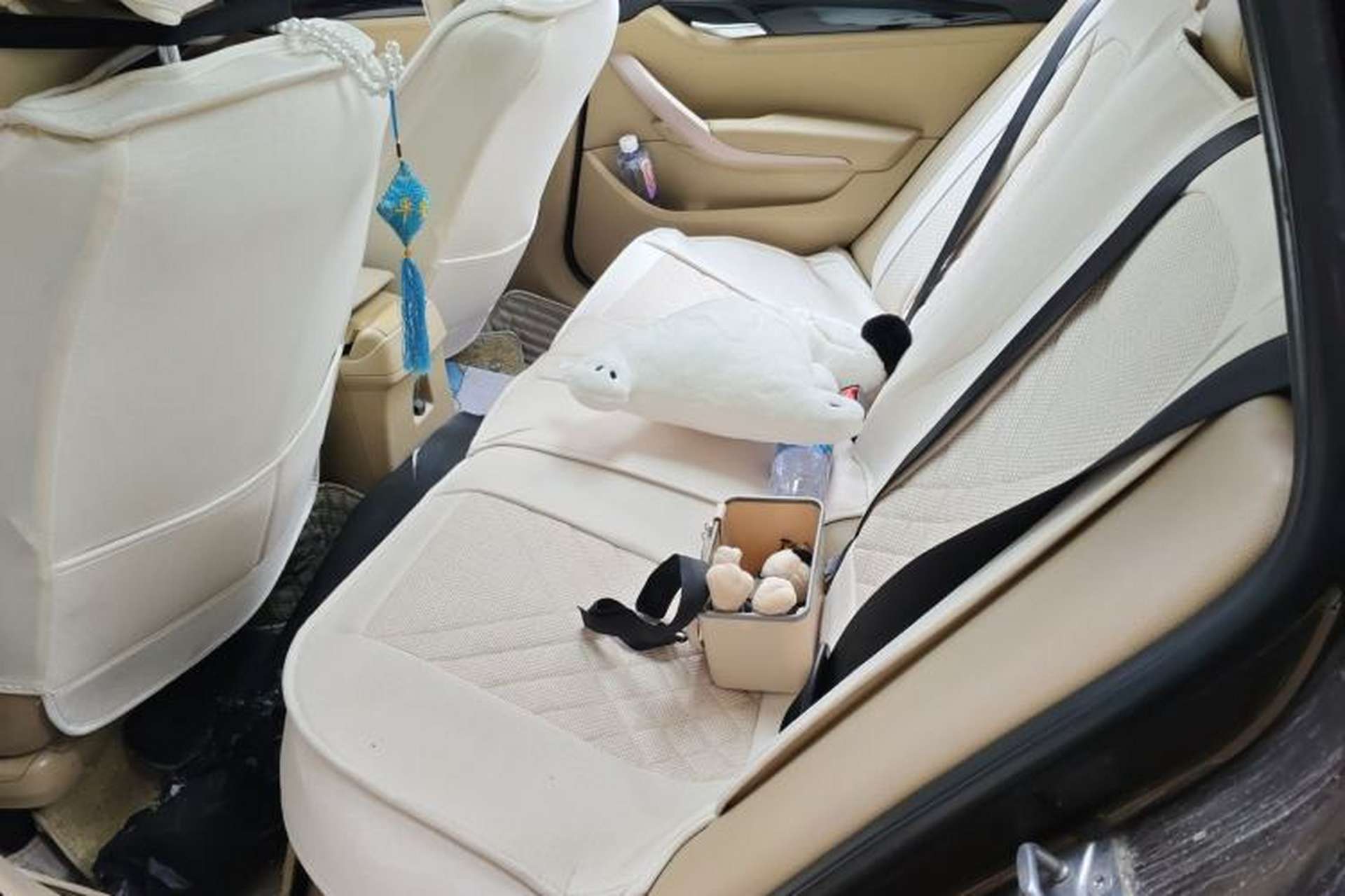 Used BMW X1 2010 sDrive18i Luxury Model Left Rear Seat
