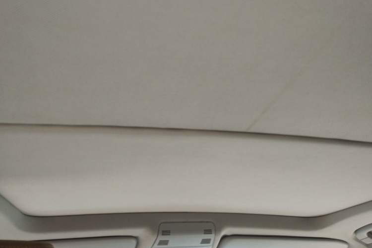 Used BMW X1 2010 sDrive18i Luxury Model Headliner