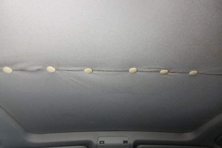 Used BMW X1 2010 sDrive18i Luxury Model Headliner