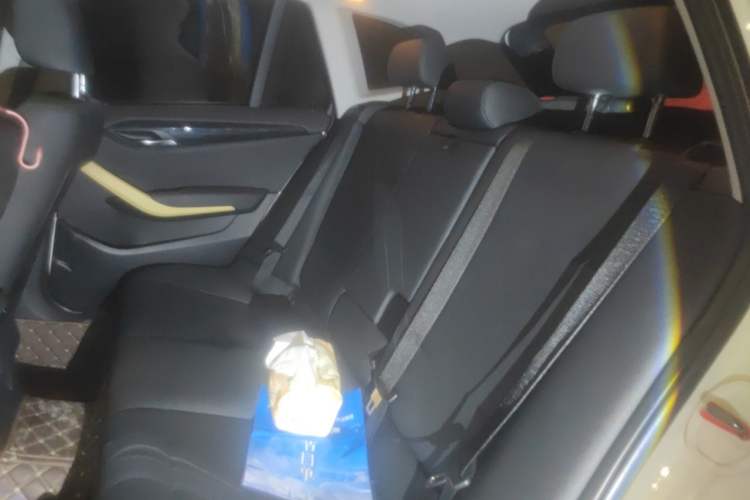 Used BMW X1 2010 sDrive18i Luxury Model Left Rear Seat