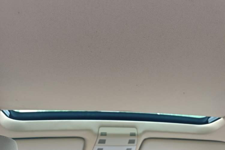 Used BMW X1 2012 sDrive18i Luxury Edition Headliner