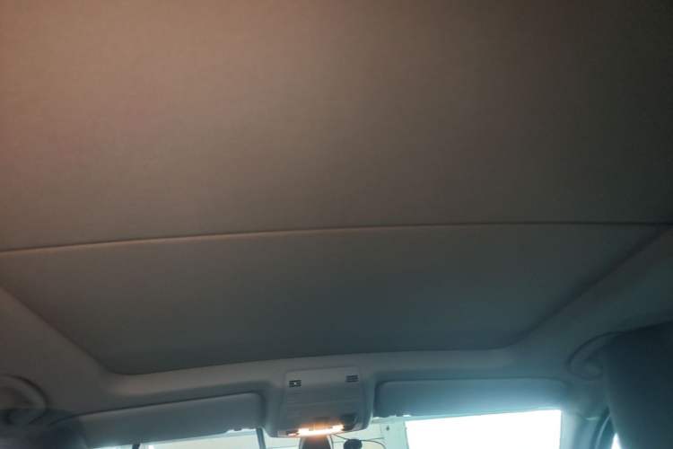 Used BMW X1 2012 sDrive18i Luxury Edition Headliner