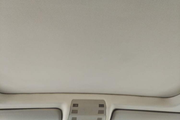 Used BMW X1 2012 sDrive18i Luxury Edition Headliner