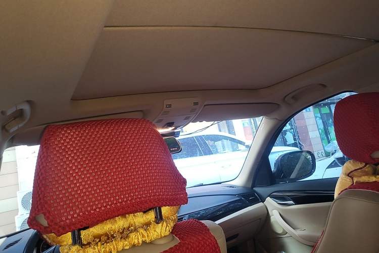 Used BMW X1 2012 sDrive18i Luxury Edition Headliner
