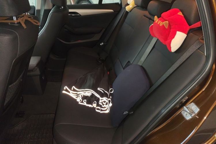 Used BMW X1 2012 sDrive18i Luxury Edition Left Rear Seat