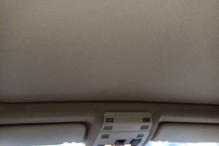 Used BMW X1 2012 sDrive18i Luxury Edition Headliner