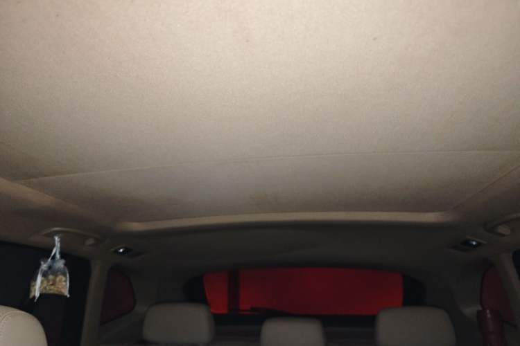 Used BMW X1 2012 sDrive18i Luxury Edition Headliner