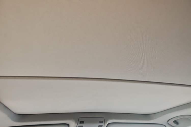 Used BMW X1 2012 sDrive18i Luxury Edition Headliner