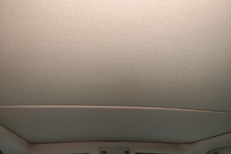 Used BMW X1 2012 sDrive18i Luxury Edition Headliner