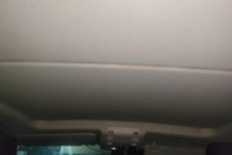 Used BMW X1 2012 sDrive18i Luxury Edition Headliner