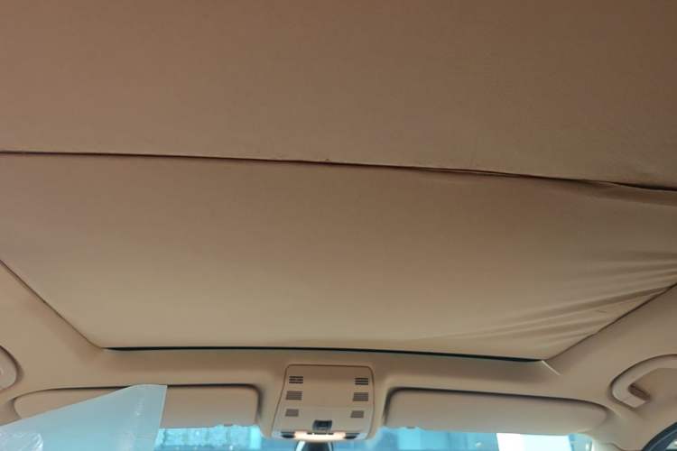 Used BMW X1 2012 sDrive18i Luxury Edition Headliner