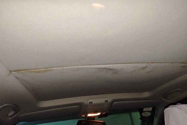 Used BMW X1 2012 sDrive18i Luxury Edition Headliner