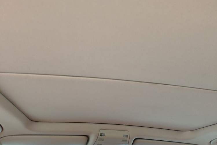 Used BMW X1 2012 sDrive18i Luxury Edition Headliner
