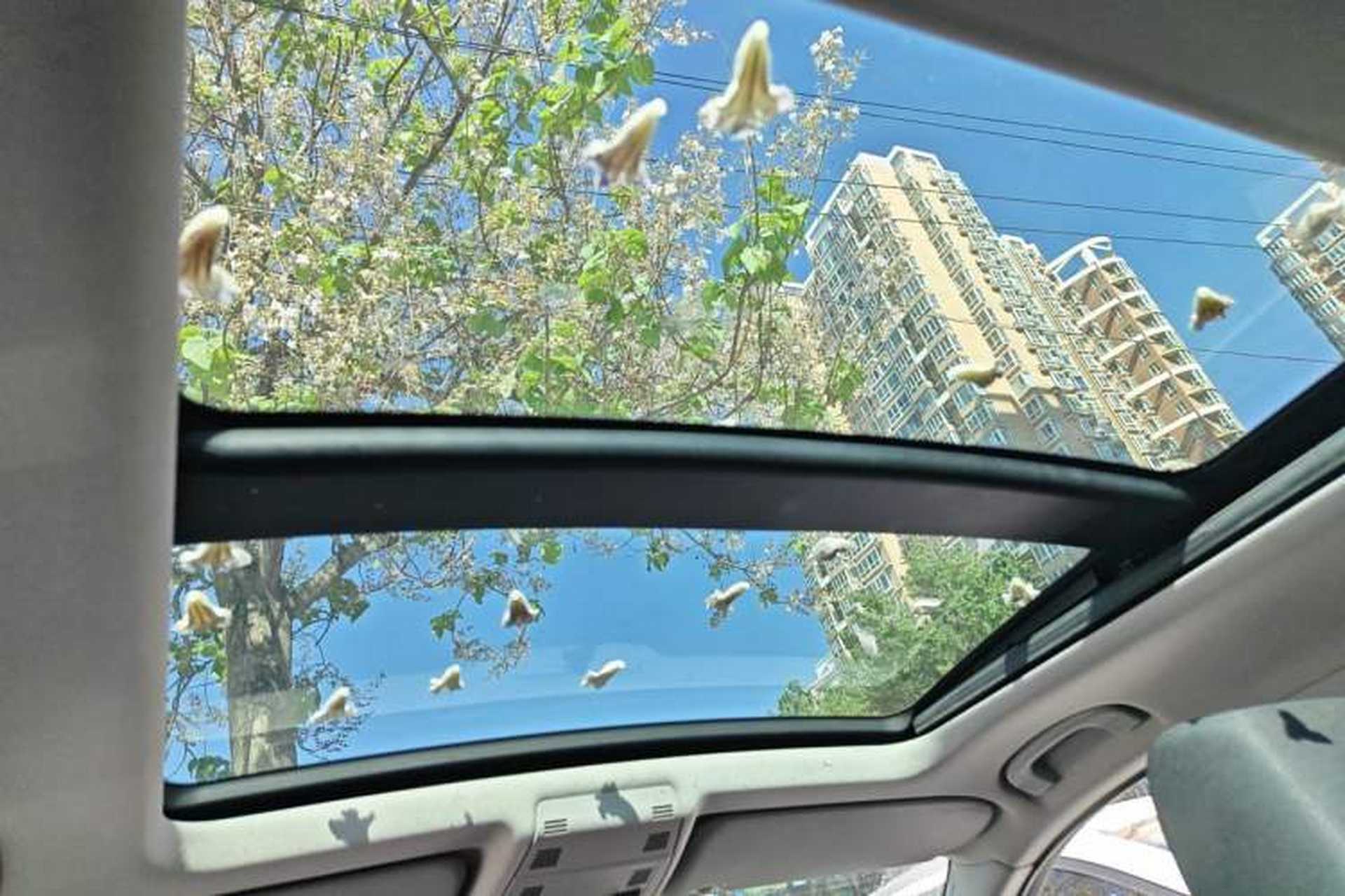 Used BMW X1 2012 sDrive18i Luxury Edition Headliner