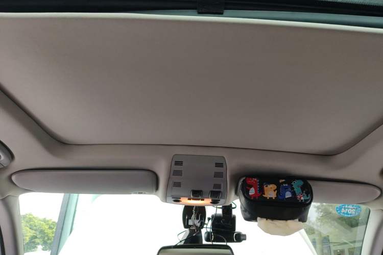 Used BMW X1 2012 sDrive18i Luxury Edition Headliner