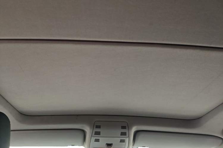 Used BMW X1 2012 sDrive18i Luxury Edition Headliner