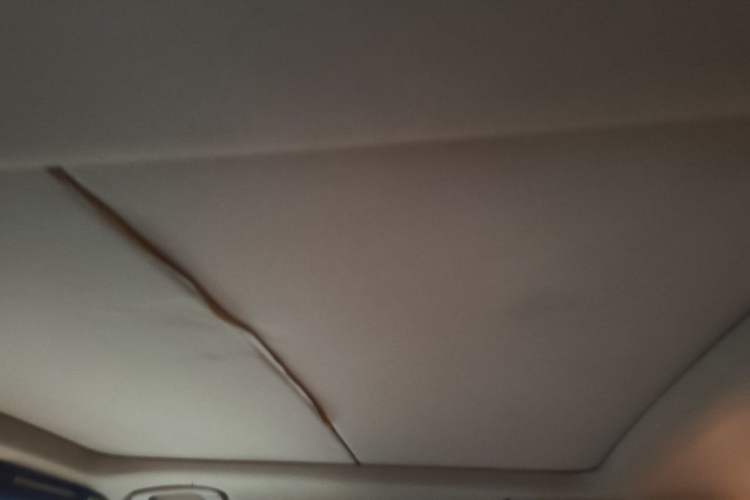 Used BMW X1 2012 sDrive18i Luxury Edition Headliner