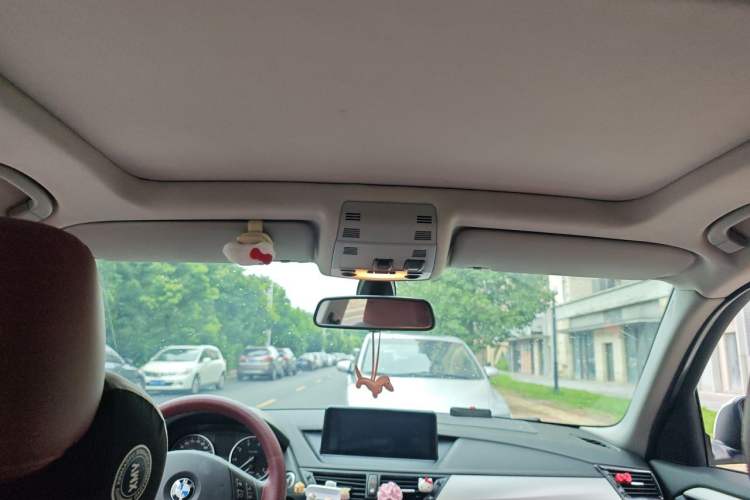 Used BMW X1 2012 sDrive18i Luxury Edition Headliner