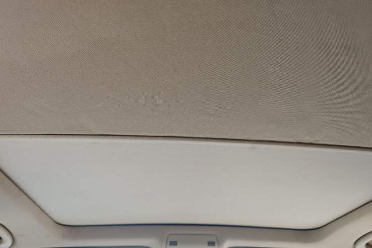Used BMW X1 2012 sDrive18i Luxury Edition Headliner