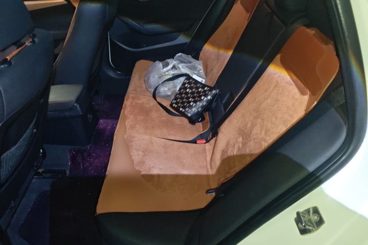 Used BMW X1 2012 sDrive18i Luxury Edition Left Rear Seat