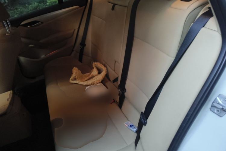Used BMW X1 2012 sDrive18i Luxury Edition Left Rear Seat