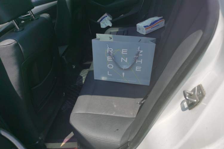 Used BMW X1 2012 sDrive18i Luxury Edition Left Rear Seat