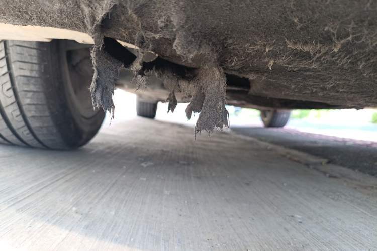 Used BMW X1 2013 sDrive18i Fashion Model Chassis Front Right