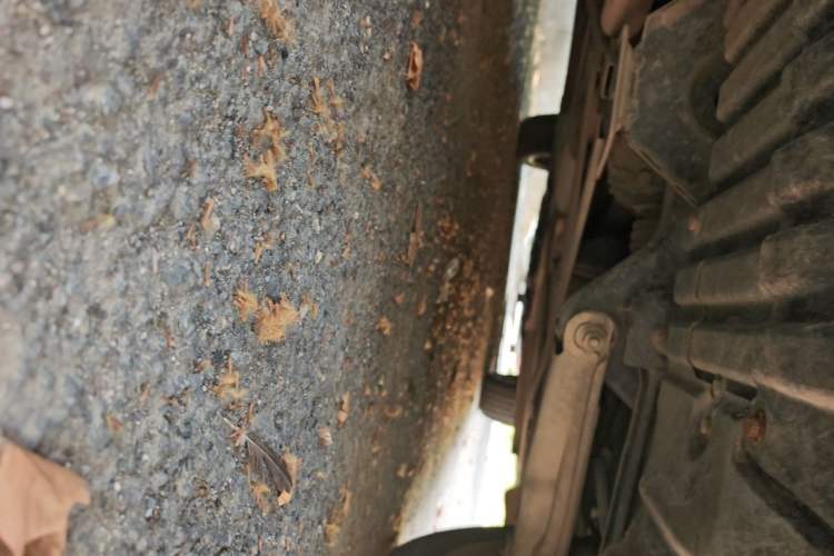 Used BMW X1 2013 sDrive18i Fashion Model Chassis Rear