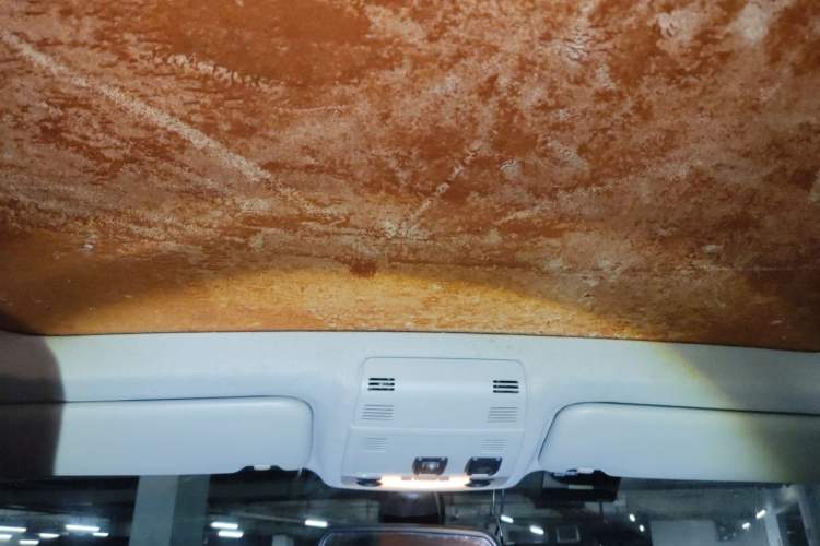 Used BMW X1 2013 sDrive18i manual model Headliner