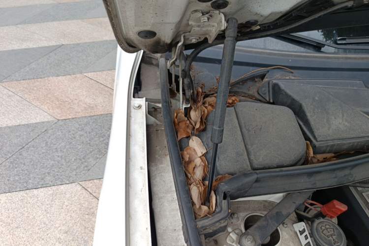 Used BMW X1 2013 sDrive18i Fashion Model Engine Bay Right