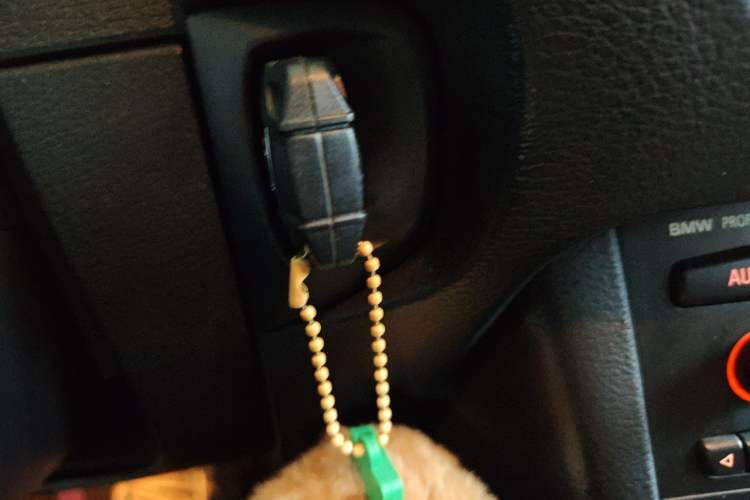 Used BMW X1 2013 sDrive18i Fashion Model Vehicle Key