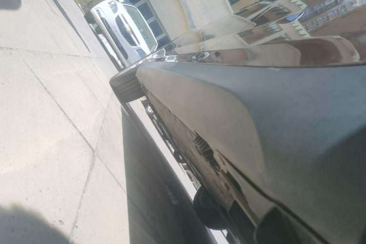 Used BMW X1 2014 sDrive18i Leading Model Left Side Sill