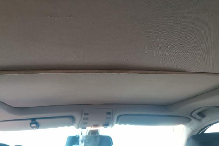 Used BMW X1 2014 sDrive18i Sports Design Package Headliner