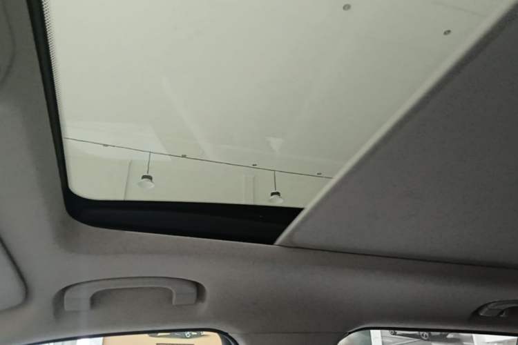 Used BMW X1 2014 sDrive18i X Design Package Headliner
