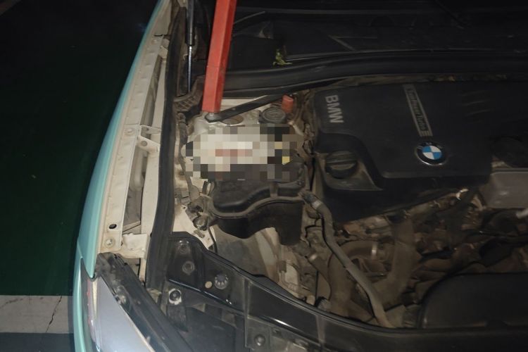 Used BMW X1 2014 sDrive18i Fashion Model Engine Bay Right