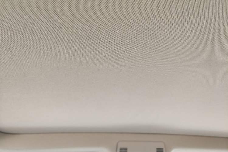 Used BMW X1 2015 sDrive18i Leading Edition Headliner
